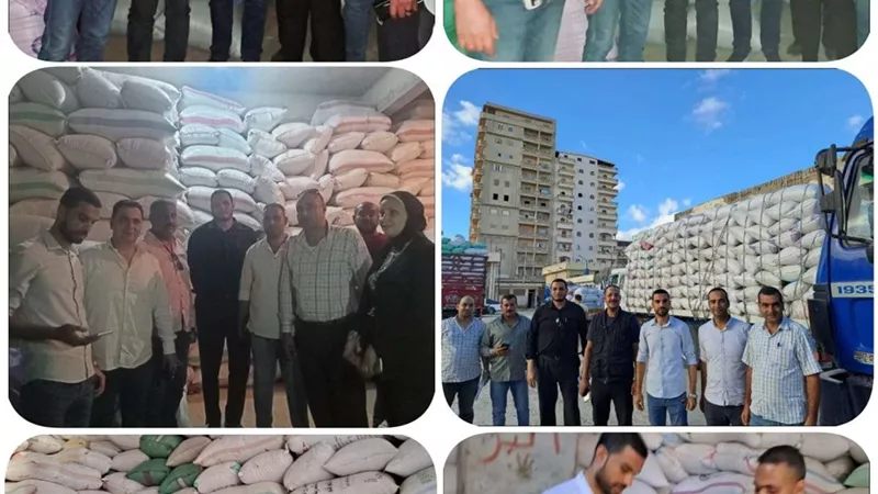 ضربة قوية للمتاجرين بأقوات المواطنين .. ضبط 266 طن أرز داخل مخزن بغرض حجبه عن التداول بالأسواق