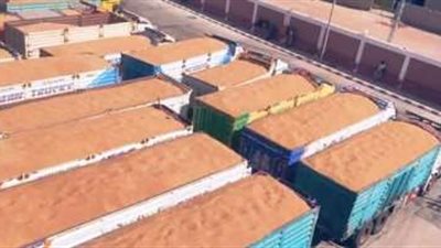 ميناء سفاجا استقبل 63 ألف طن قمح فرنسي