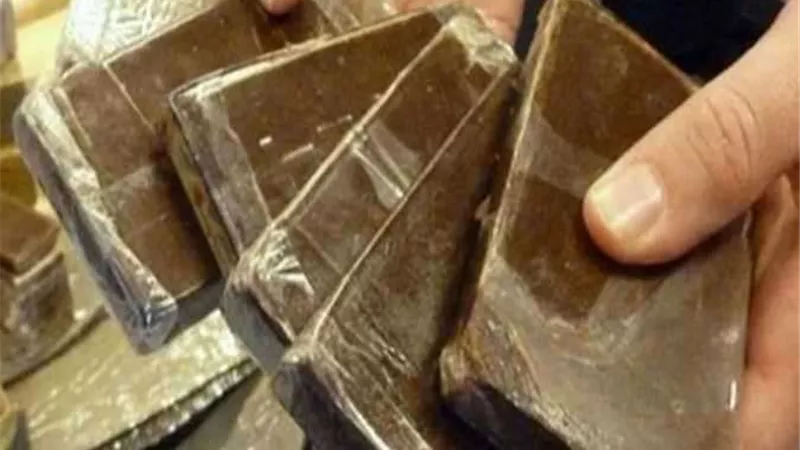 ضبط عاطل بحوزتة كيلو ونصف من جوهر الحشيش في كفر الشيخ