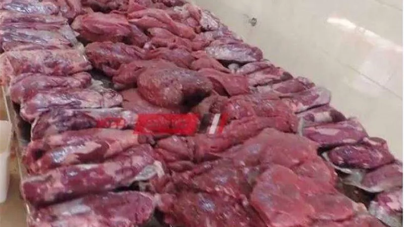حبس صاحب مصنع بحوزته 2 طن بسطرمة فاسدة بالقاهرة