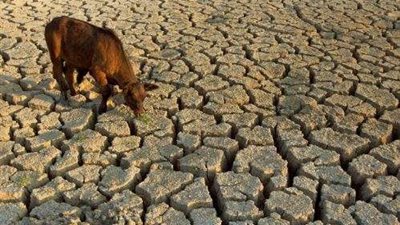 دراسة: التغير المناخي زاد 20 مرة احتمالات حدوث الجفاف بنصف الكرة