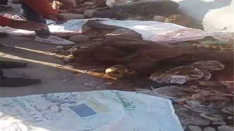 قتلها وخد عزاها.. تفاصيل صادمة بواقعة العثور على جثه فتاة بترعة القليوبية