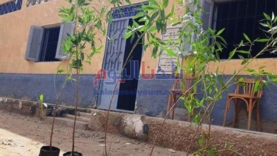 الزراعيين: الإعلام الدولي يتحدث عن نموذج مصر التطبيقي في أشجار المانجروف