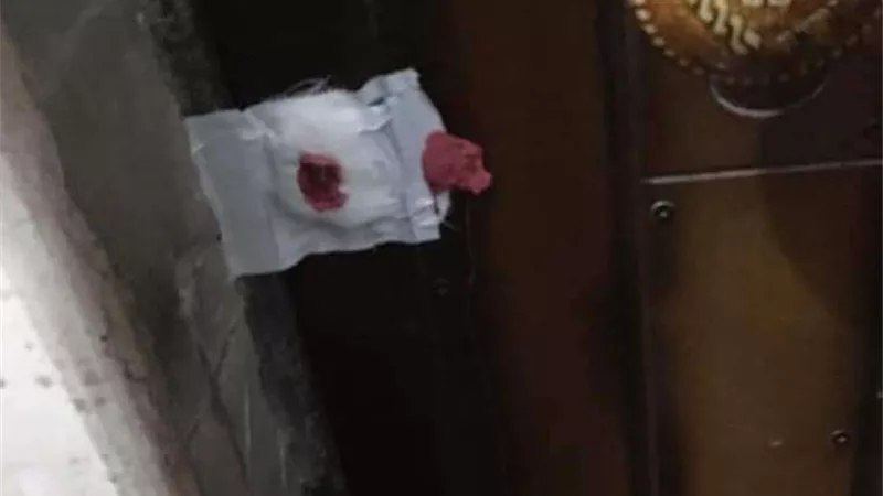 غلق 6 عيادات ومستشفى خاص بالغربية