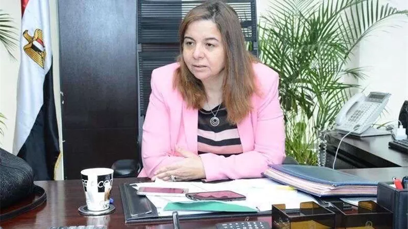مي عبد الحميد: بيع 170 ألف كراسة شروط ضمن إعلان 