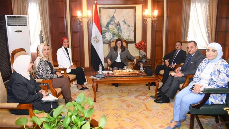 جندي: قمنا بلقاءات مكثفة لتوفير محفزات ومميزات للمصريين بالخارج تحقق لهم أقصى استفادة