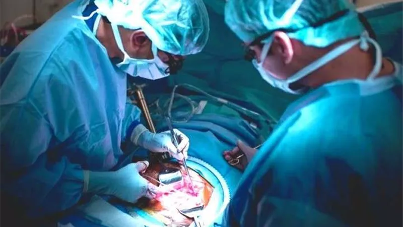 محامٍ يوضع عقوبة نقل الأعضاء بالمخالفة للقانون .. فيديو