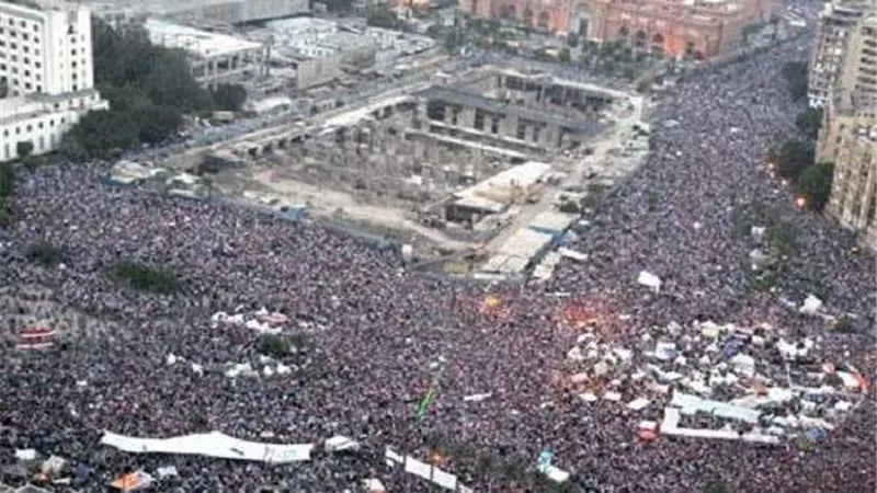 برلماني: ثورة يونيو فضحت مؤامرة جماعة الإخوان الإرهابية
