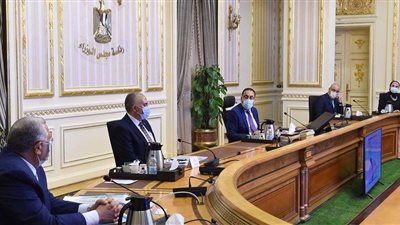 رئيس الوزراء يُتابع تنفيذ عدد من المشروعات في قطاعي الزراعة والري بسيناء
