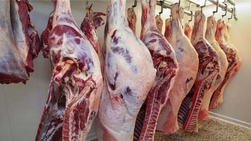 أزمة وارتفاع أسعار.. نقيب الجزارين يكشف عن الأسعار الجديدة للحوم