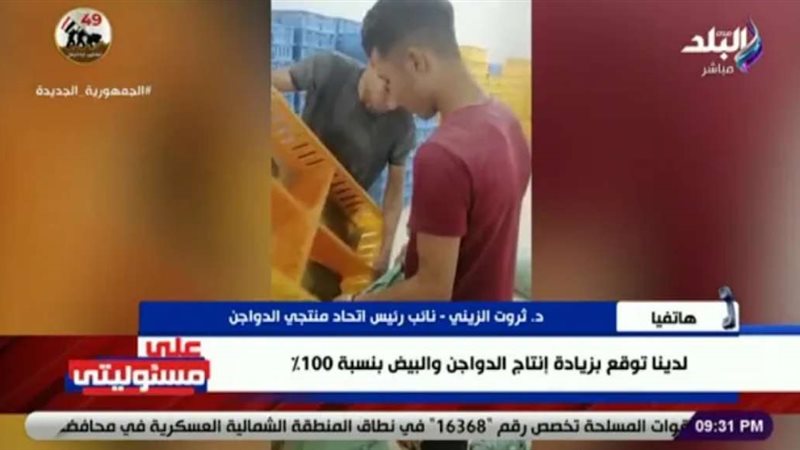 إعدام الكتاكيت