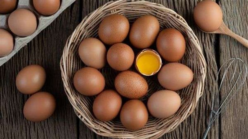 أسعار البيض 