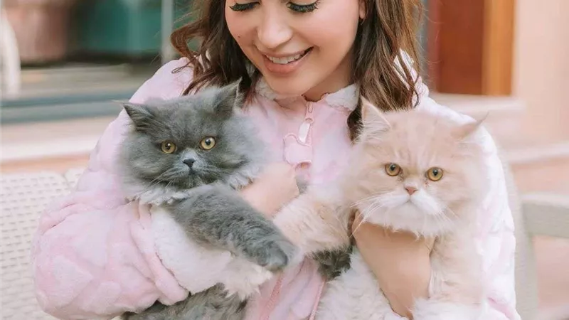 نسرين طافش متغزله بقططها 