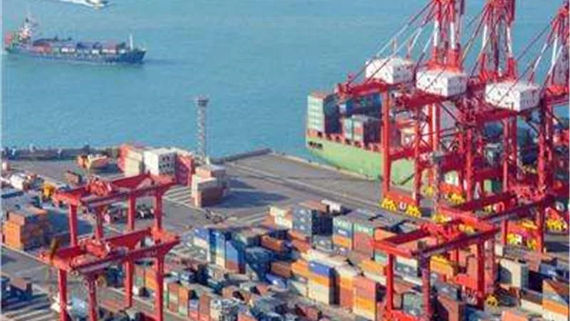 تنبيه جديد تصدره الجمارك عن إجراءات بيع البضائع المهملة والرواكد