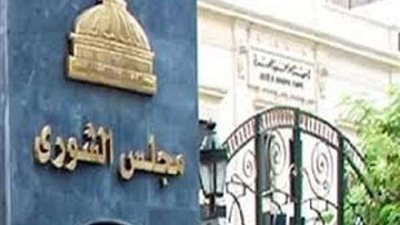 6 شروط للترشح لمجلس الشيوخ