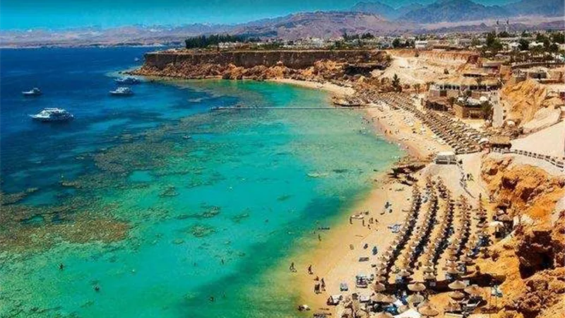 السياحة: غلق4 شركات سياحية لمزاولتها المهنة بدون تراخيص