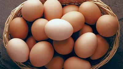 تعرف على أسعار البيض اليوم الخميس 20 أكتوبر