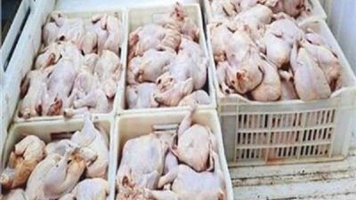 ضبط 6.5 طن دواجن ولحوم فاسدة داخل ثلاجة بالقاهرة