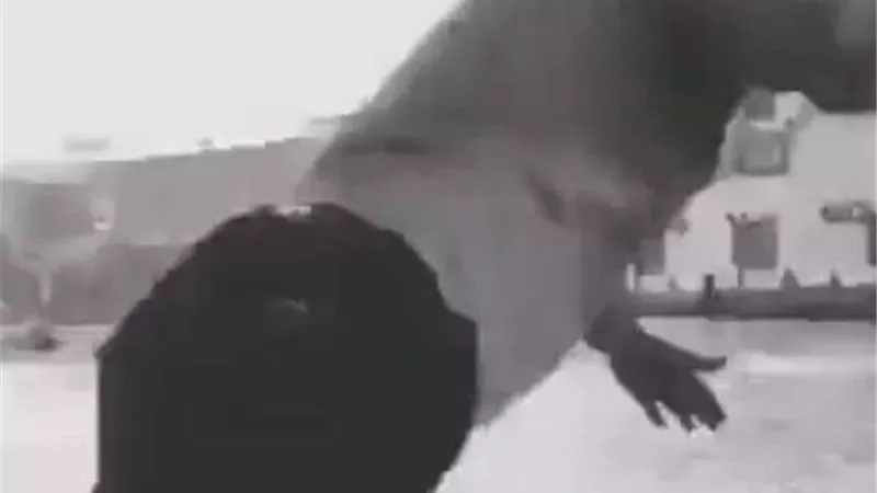 على طريقة أحمد السقا| شاب يلقي نفسه في المنصورة من أجل حبيبته.. فيديو