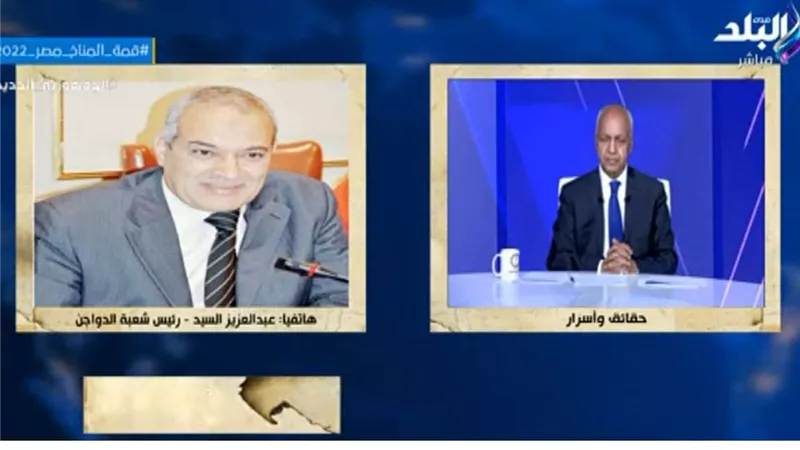 رئيس شعبة الدواجن: أفرجوا عن الأعلاف بالموانئ.. المصانع أغلقت أبوابها أمام المربين