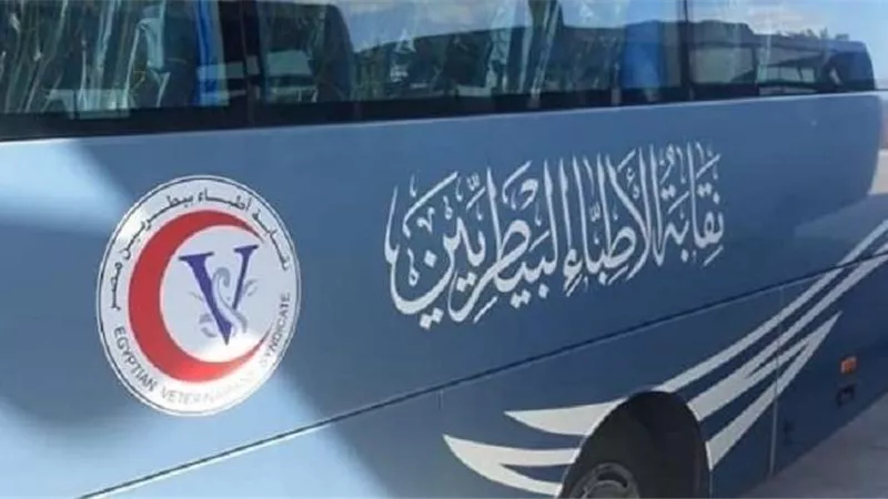 نقابة البيطريين تقرر تأجيل الدعوة للتصويت بالتجديد النصفي إلى 29 أغسطس