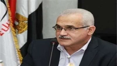 رئيس حزب المستقلين: الدولة المصرية تحاول أن تقاوم المتغيرات العالمية في الطاقة