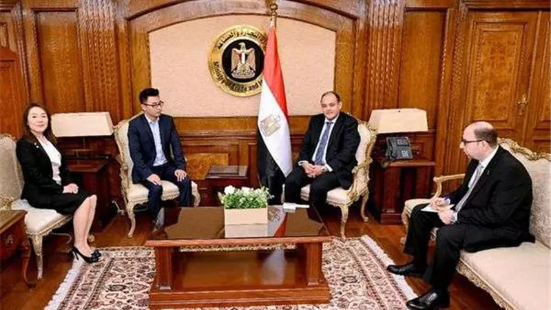 تفاصيل اجتماعات وزير التجارة مع مسئولي عدد من كبريات الشركات العالمية المستثمرة بالسوق المصري