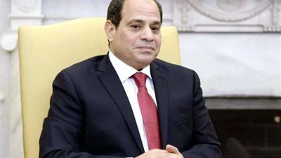 السيسي: عملت ألف كوبري.. ومدينة زويل اتكلفت 3.5 مليار جنيه