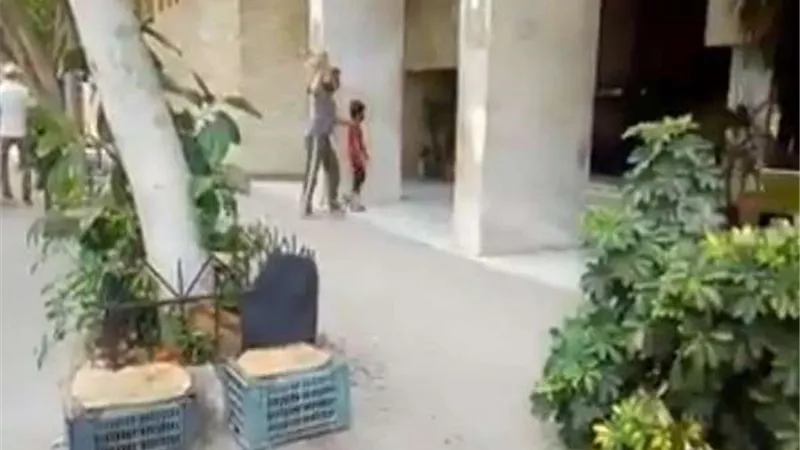 بالفيديو.. 