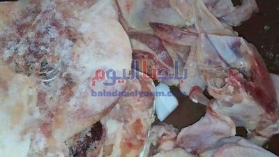 ضبط هياكل دواجن وكبده مجمدة منتهية الصلاحية في المنوفية