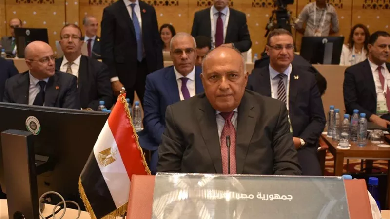 بدء أعمال اليوم الثاني لاجتماعات القمة العربية بحضور وزير الخارجية سامح شكري