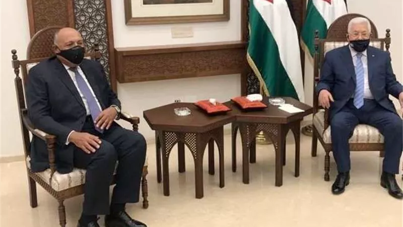 سامح شكري لـ