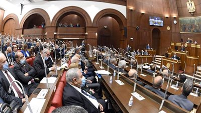 لجنة الزراعة والري بمجلس الشيوخ تناقش آليات التوسع في المحاصيل الاستراتيجية