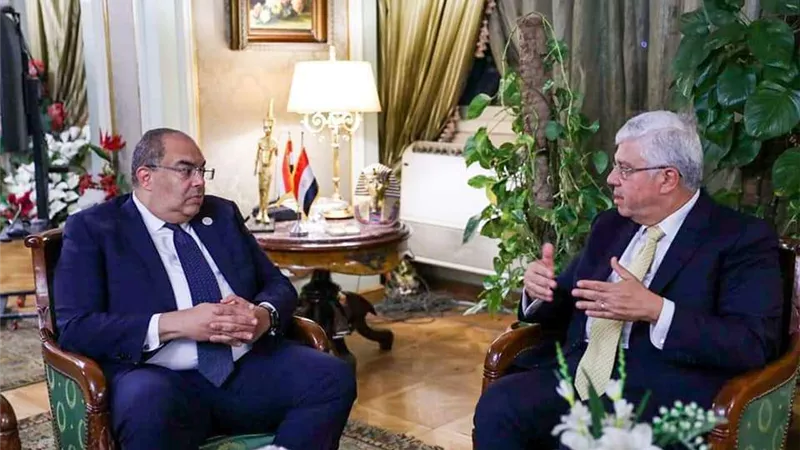 «عاشور» يلتقي برائد المناخ للرئاسة المصرية لمؤتمر الدول الأطراف في اتفاقية الأمم المتحدة الإطارية COP27