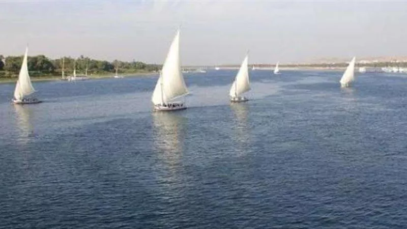 وزارة الري تُعلن بيان هام بشأن حملات الإزالة على نهر النيل