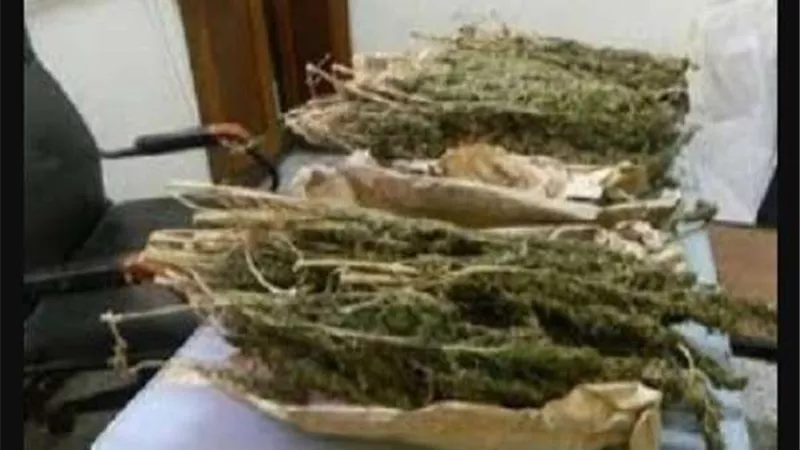 حبس 5 أشخاص لحيازتهم 1.5 كيلو فودو بحدائق القبة