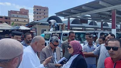 غدا.. فصل الكهرباء عن هذه المناطق في دسوق بـ كفر الشيخ