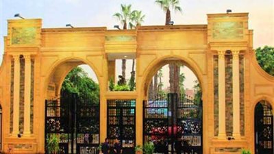 أستاذ جراحة: المبادرات الرئاسية رفعت عبء العلاج عن كاهل الأسر الأكثر احتياجا