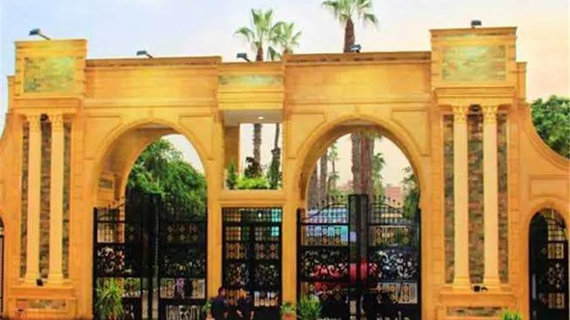 أستاذ جراحة: المبادرات الرئاسية رفعت عبء العلاج عن كاهل الأسر الأكثر احتياجا