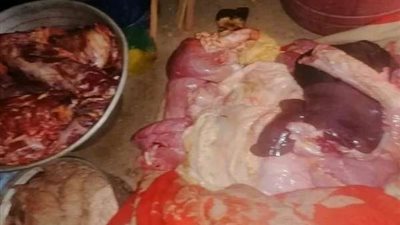 لبيعها في عيد الأضحى.. التموين تضبط نصف طن لحوم حمير بمنزل جزار بسوهاج