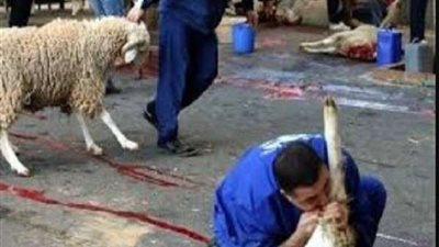 ذبح الأضاحي بالمجان.. تجهيز 23 مجزرًا على مستوى محافظة الجيزة