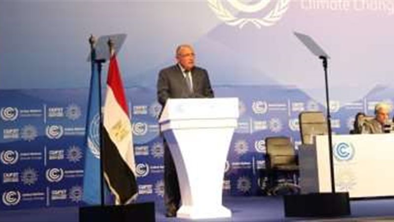 سامح شكري وزير الخارجية