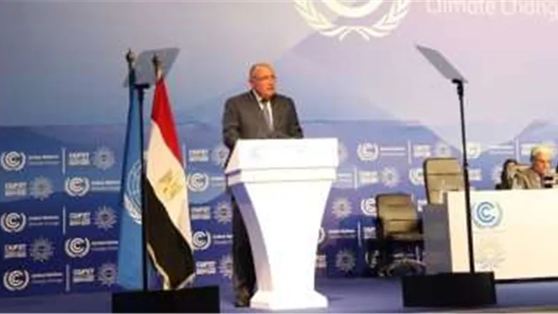 سامح شكري يوجه الشكر لدولة الكونغو لاستضافة فعاليات ما قبل مؤتمر المناخ