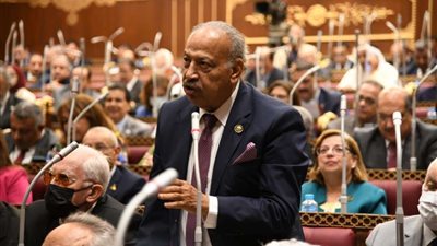 العسال: دعوة الرئيس لوقف الحرب الروسية الأوكرانية تنطلق من قناعاتنا الثابته بإرساء السلام