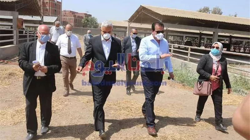 مبادرة جامعة المنوفية لبيع اللحوم بأسعار مخفضة تحقق نجاحا كبيرا