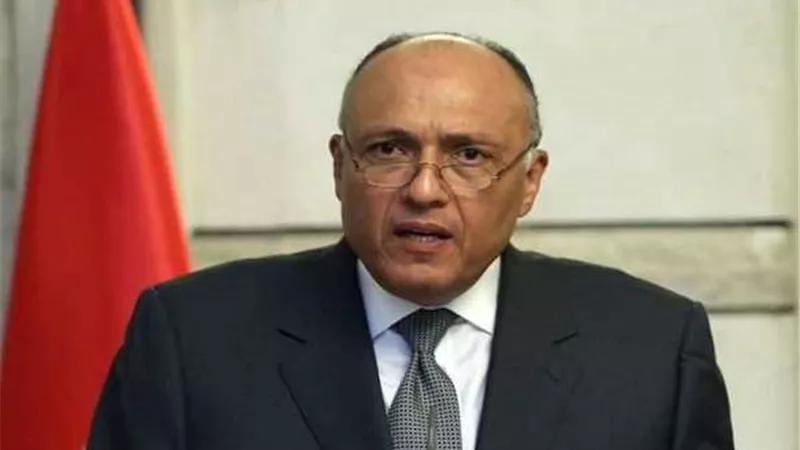 وزير الخارجية: مبلغ الـ100 مليار دولار لا يواجه التحديات المناخية