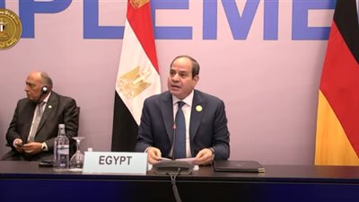 الرئيس السيسي: أزمة الطاقة التي يمر بها العالم فرض على تحديا حقيقيا