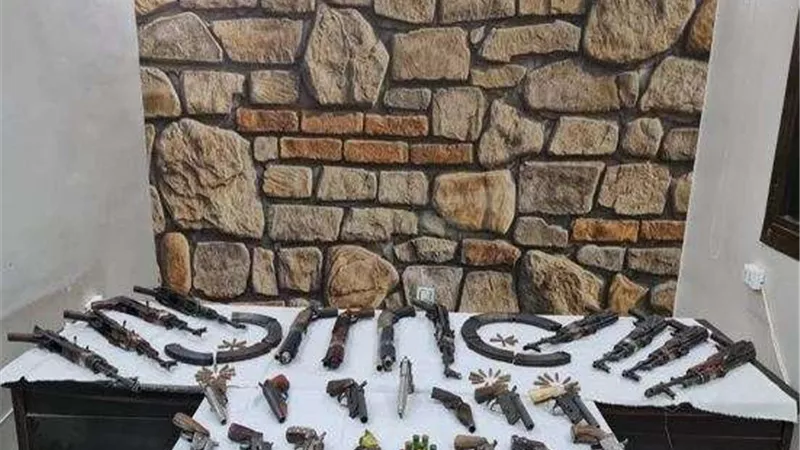 حملة أمنية بأسيوط.. ضبط حائزى الأسلحة والخارجين علي القانون