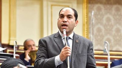 من شرم الشيخ ولندن ومدريد.. غيرة المصريين على وطنهم تتجسد في وقفات التضامن مع النائب عمرو درويش