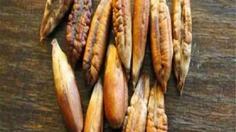 ضع نواة التمر في شوربة اللحمة.. وشاهد ماذا يحدث